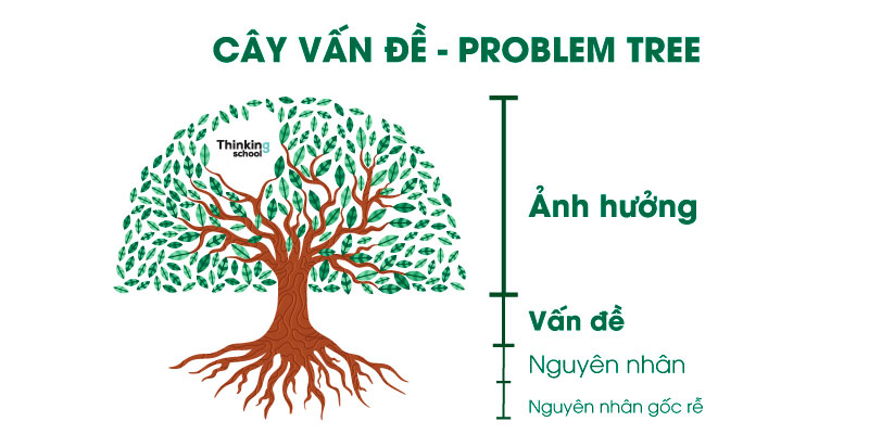 cây vấn đề - Problem tree thinking school